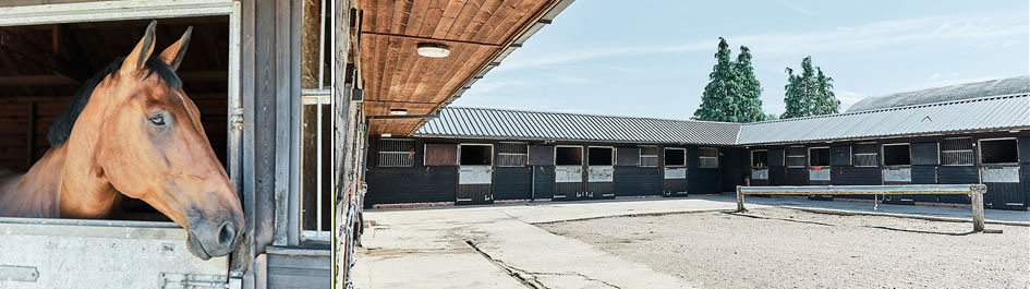 Sissons Farm Equestrian Centre